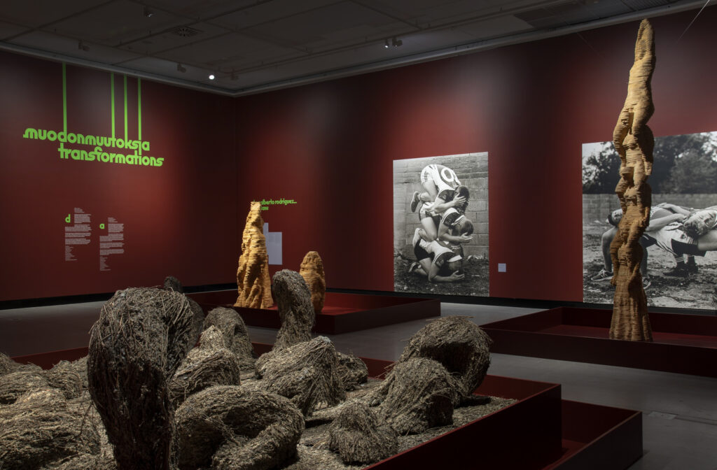 Teoksia Muodonmuutoksia-näyttelyssä.